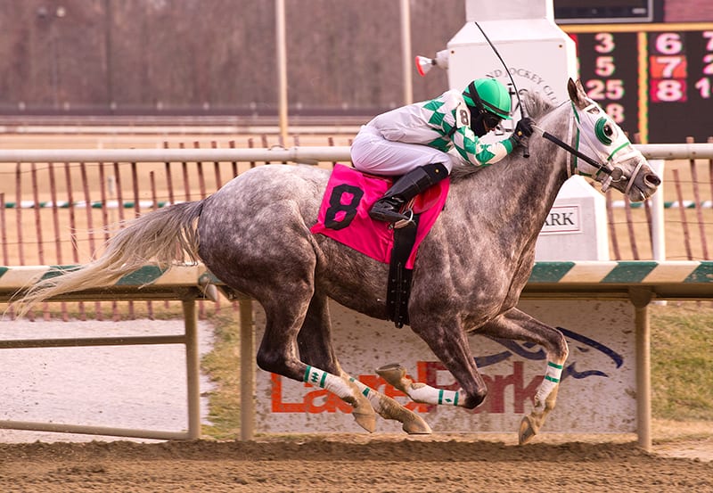 LookBack: Weekend RaceBrief for February 10