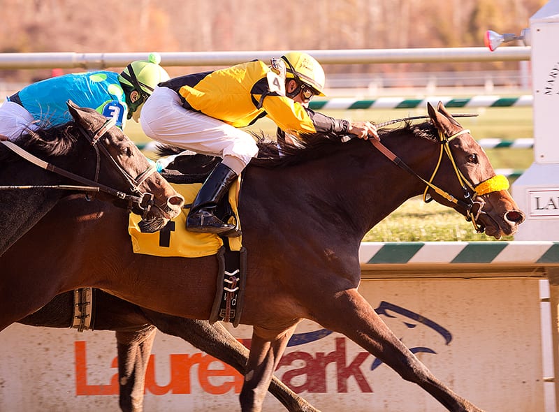 Seven set for rescheduled Barbara Fritchie Handicap