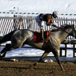 Bandbox rolls on to upset General George score