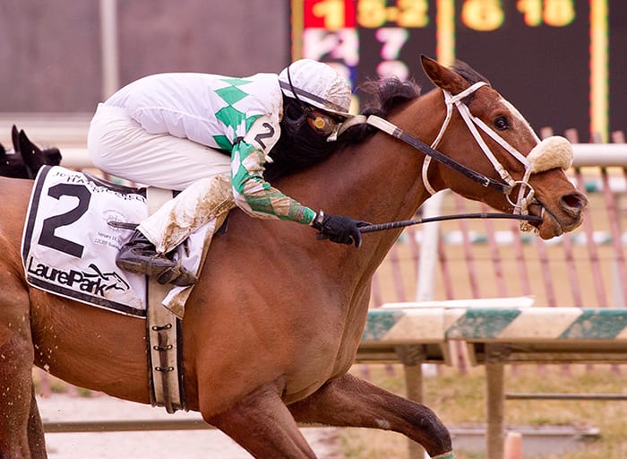 Concealed Identity. Photo by Jim McCue, Maryland Jockey Club.