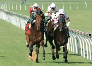 Gio Ponti takes the Virginia Derby.  Photo by Jeff Coady, Coady Photography.