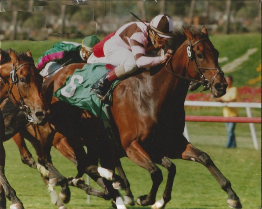 Miss Josh winning the Gamely. Photo courtesy of George Rowand.