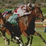 Maryland racing interests on brink of BRFA win