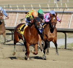 My Wandy's Girl (left) takes the lead in the lane.  Photo by Laurie Asseo.