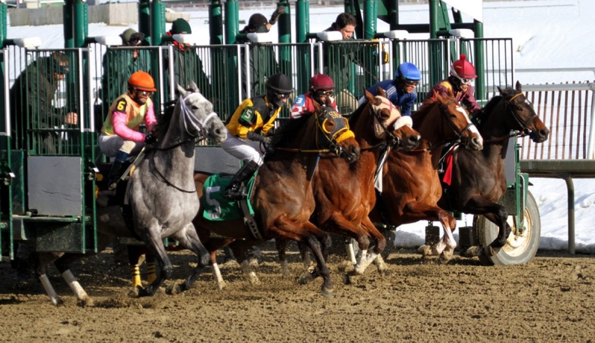 Maryland Racing Commission punts jockey weight issue for another month