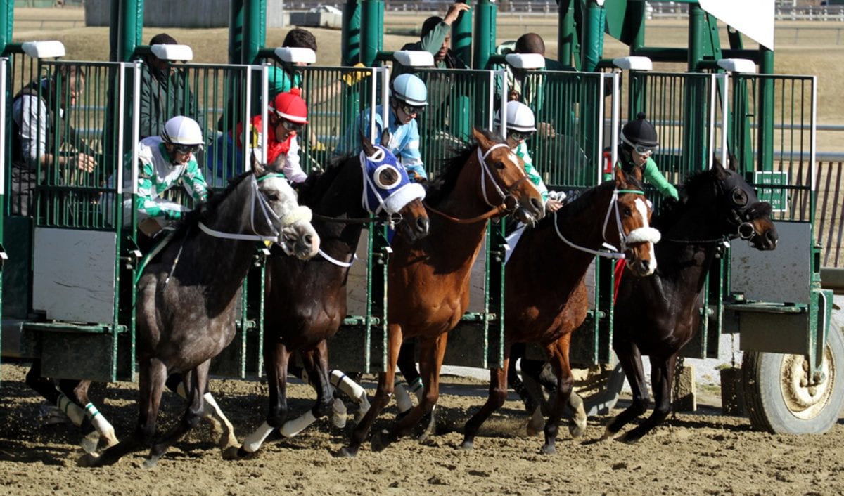 Barbara Fritchie Handicap day in pictures