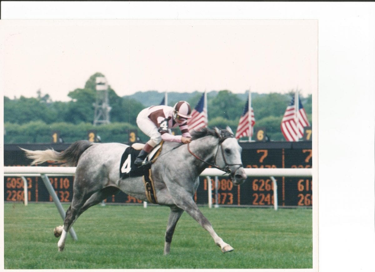 On breeding: Don’t expect lightning to strike twice
