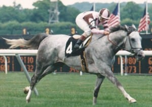 Grade 1 winner Royal Mountain Inn.  Photo courtesy of George Rowand.