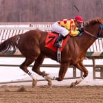 On breeding: Don’t expect lightning to strike twice