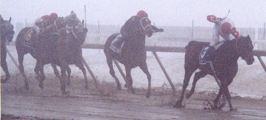 Xtra Heat bursts through the fog to win the 2003  Fritchie.  Photo by Laurie Asseo.