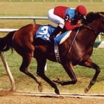NTRA Top Thoroughbred Polls for September 23