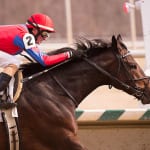 More Than a Cruise coasts home to Conniver victory