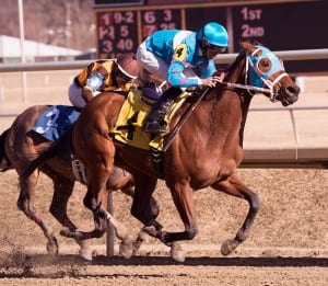 Steady N Love takes the Caesar's WIsh.  Photo by Jim McCue, Maryland Jockey Club.