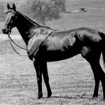 Maryland Thoroughbred Hall of Fame: Concern