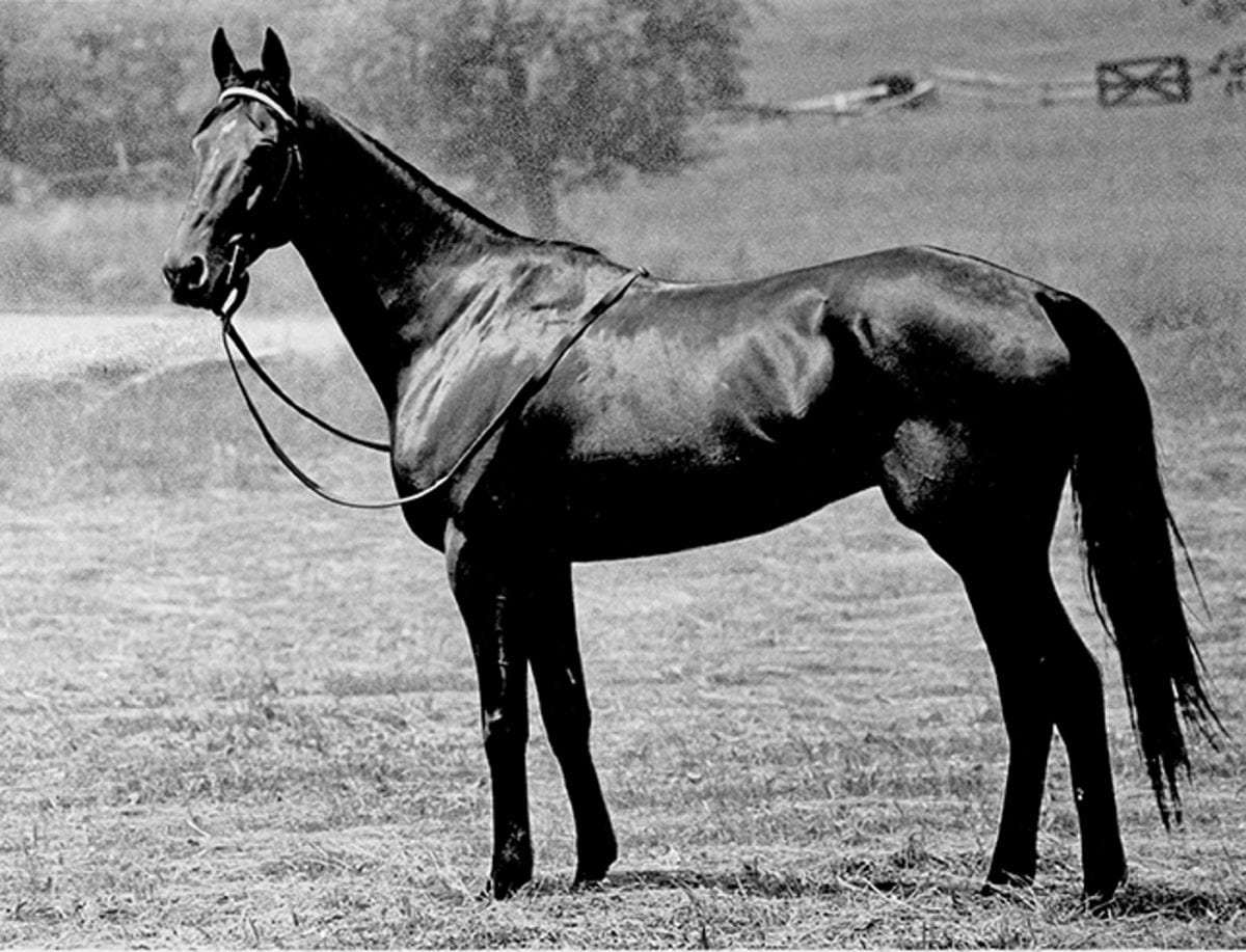 Maryland Thoroughbred Hall of Fame: Tuscalee