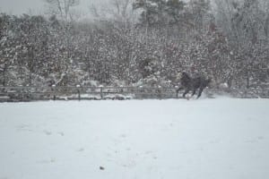 Let it snow, says Dixieland Bride.  Photo courtesy of Keturah Obed-Letts.