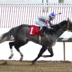 Trainer Juan Vazquez receives 90-day suspension, fine