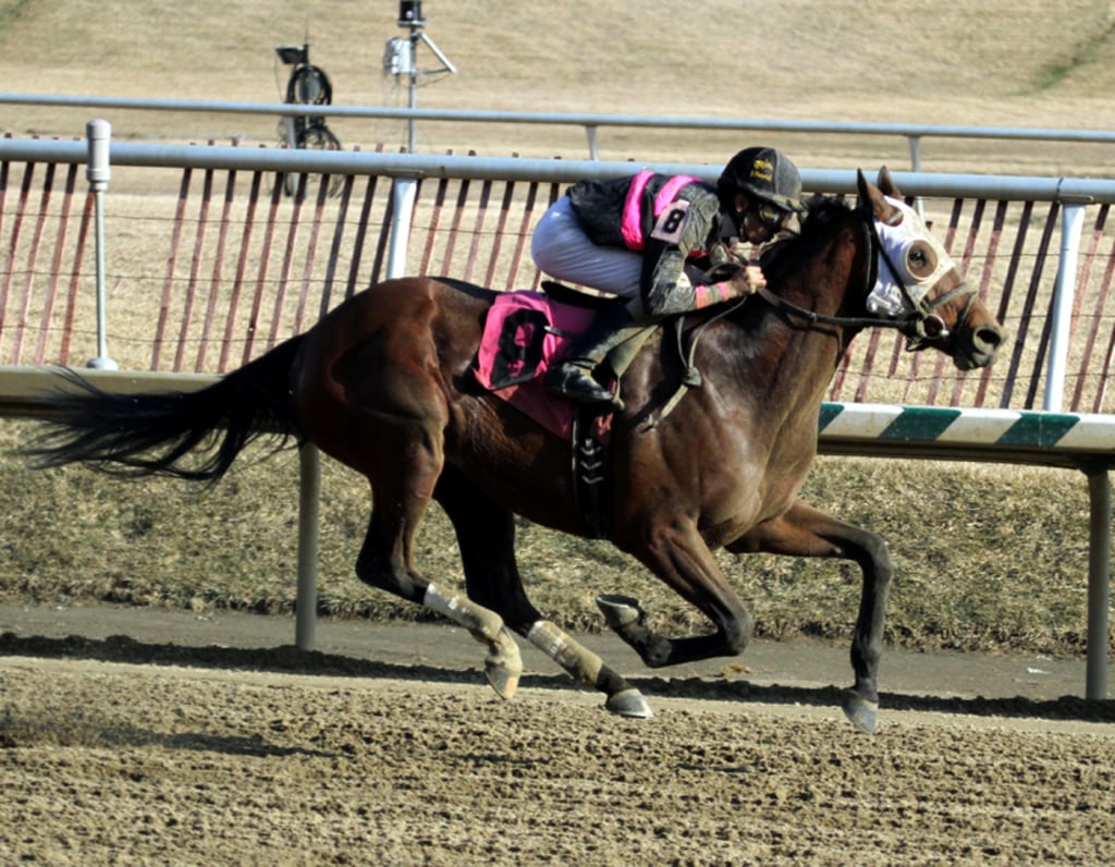 Kid Cruz, here winning the 2014 Private Terms at Laurel, takes on a salty crew in the Mountainview Saturday at Penn National. Photo by Laurie Asseo.