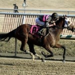 Preakness Profiles: California Chrome