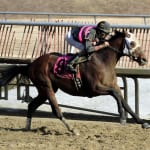 Preakness medication and testing protocols announced