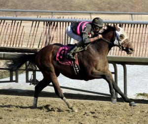 Kid Cruz powers home in the Private Terms.  Photo by Laurie Asseo.