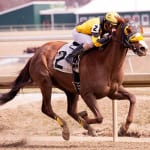 Virginia HBPA: Time for new management at Colonial?