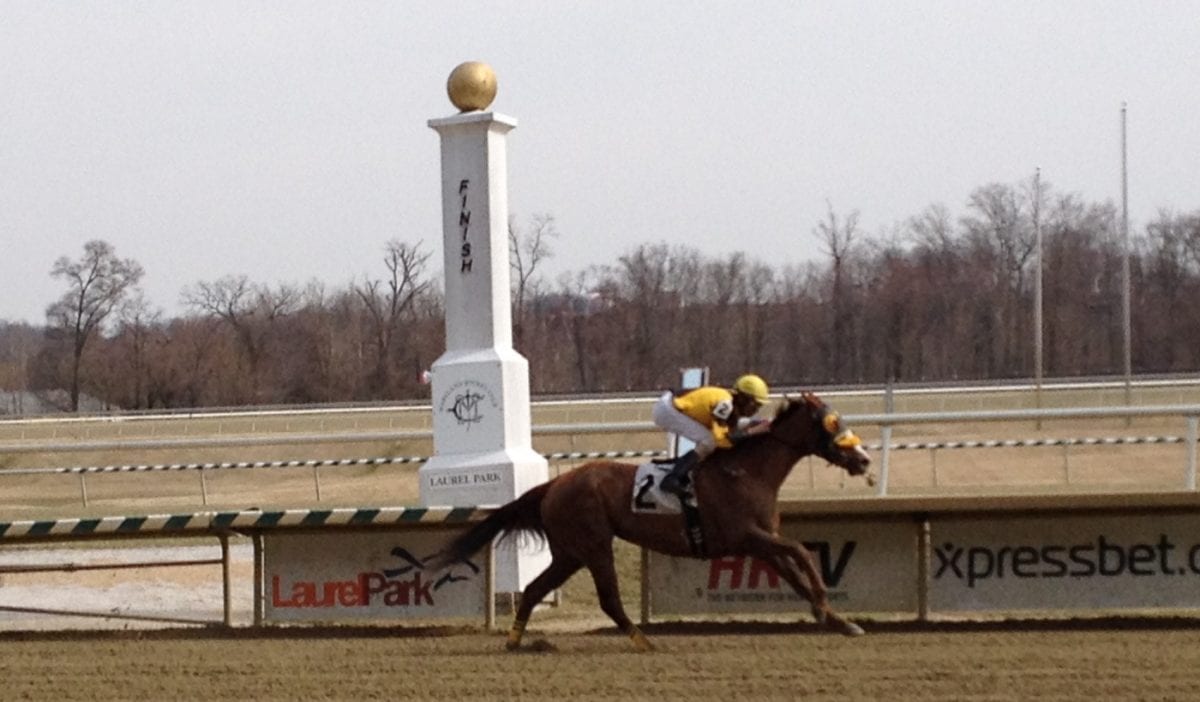 My Pal Chrisy tops crowded Sugar Maple Stakes