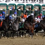 Busy weekend leads to changes in NTRA Top Thoroughbred Polls