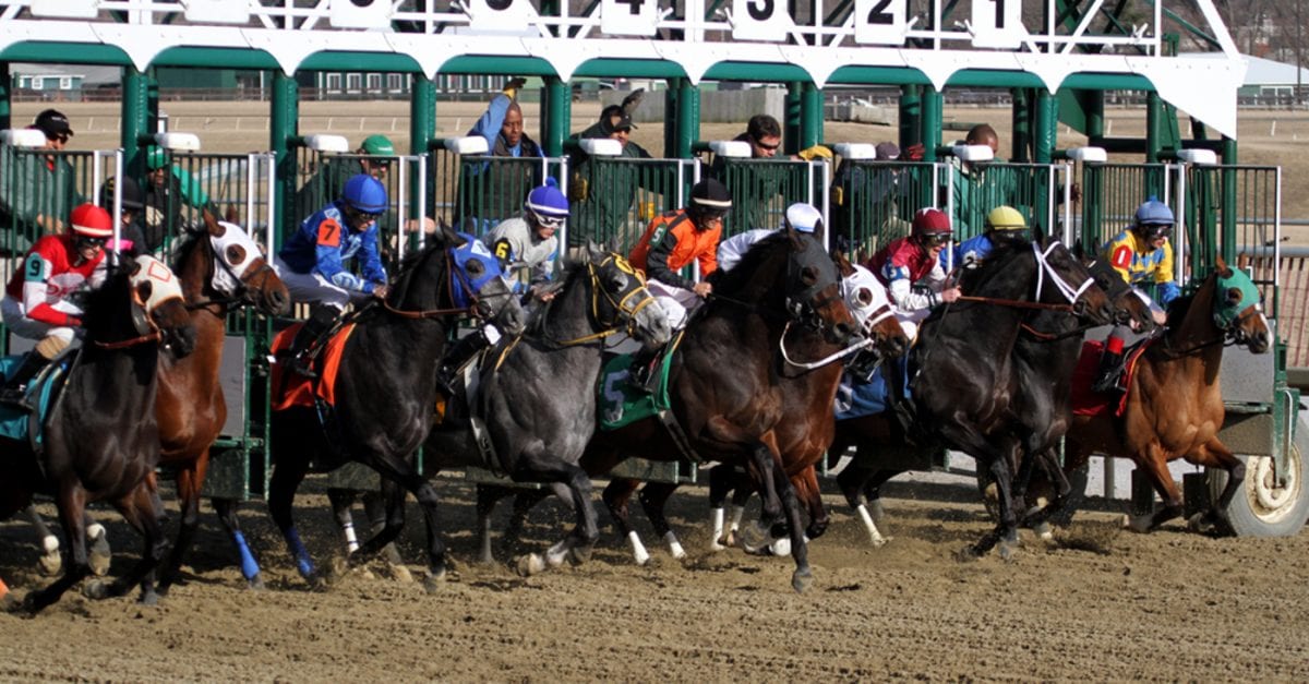 All in, but not too crowded, at Champions handicapping tournament