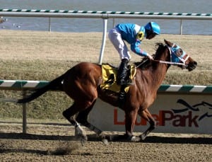 Steady N Love wins the Caesar's Wish.  Photo by Laurie Asseo.