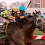 Ben’s Cat notches fifth straight Mister Diz win