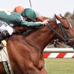 Hamp proves narrowly best in Henry S. Clark Stakes