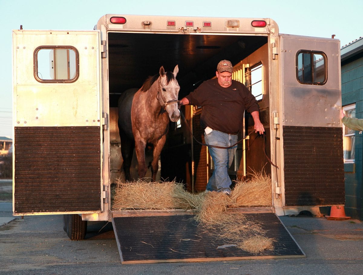 First horses on Monmouth Park grounds