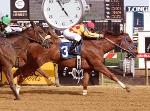 Winning Image takes the Primonetta Stakes.  Photo by Jim McCue, Maryland Jockey Club.