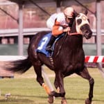 Aunt Ellen makes maiden-breaker a Twixt Stakes score