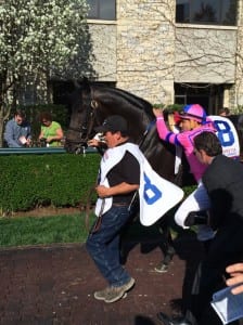 Dance With Fate about to win the Grade 1 Bluegrass.  Photo by Chris Sorenson.