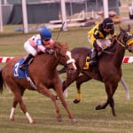 Aunt Ellen makes maiden-breaker a Twixt Stakes score