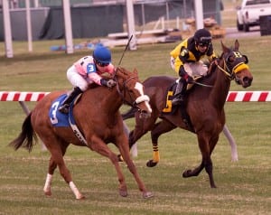 Embarr takes last month's Dahlia. Photo by Jim McCue, Maryland Jockey Club.