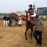 Preakness notes for May 16: Ready