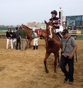 Hamp enters the winner's circle after the Henry S. Clark.  Photo by The Racing Biz.