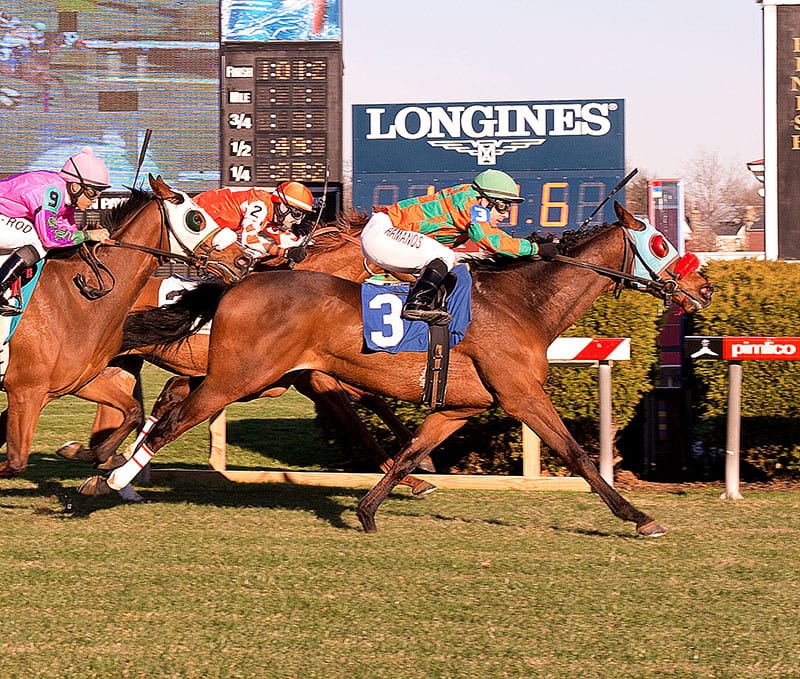 Horacio Karamanos posts a Pimlico riding triple