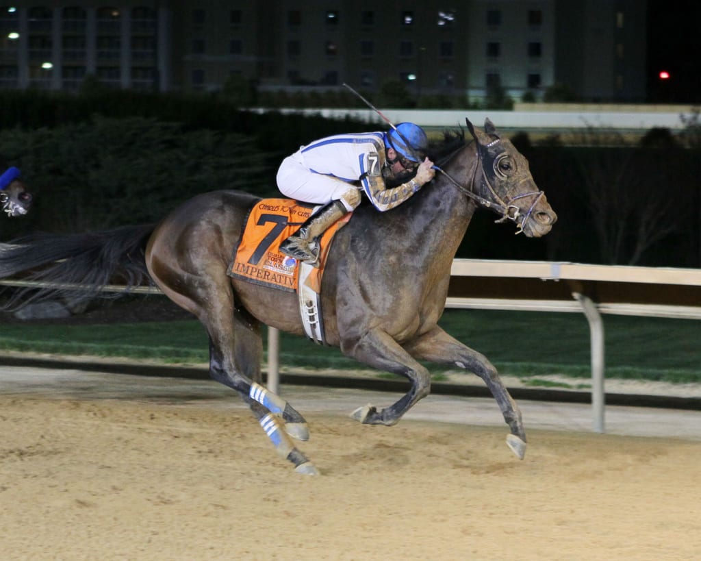 Imperative won the 2014 Charles Town Classic. Photo by Coady Photography.