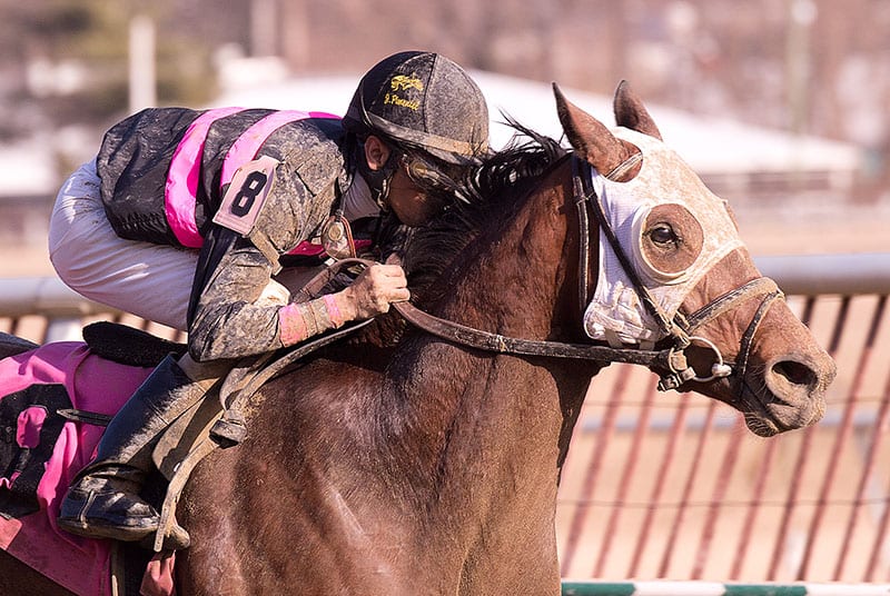 Preakness hopefuls to tackle Federico Tesio Stakes