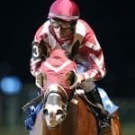 Lovable Lady looks for winning form in Geisha