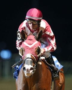 Delta jackpot winner Rise Up lent some star power to the Robert Hilton Memorial, which he won.  Photo by Coady Photography.