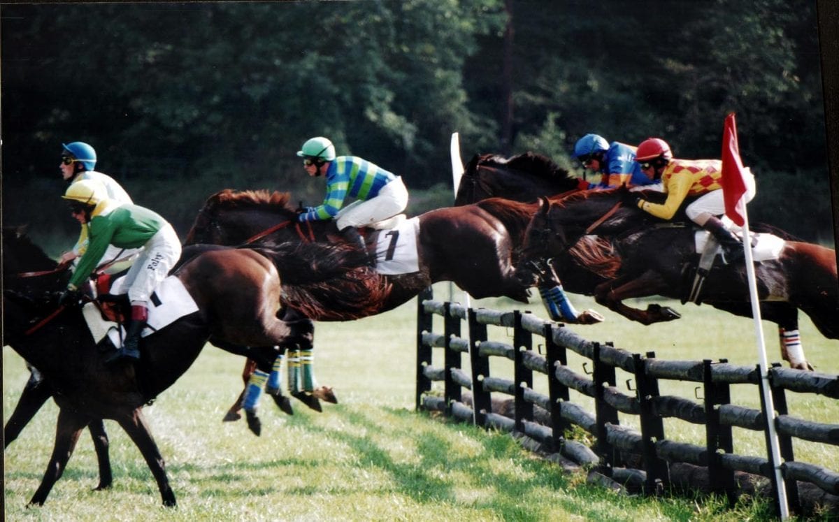 Jumpers take over Colonial Downs in Dogwood Classic * The Racing Biz