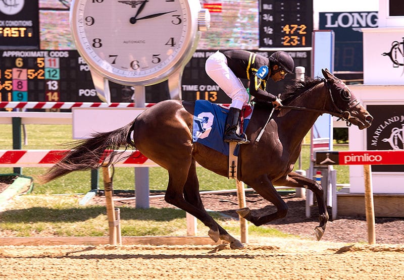 Truth in the Lies wins first Pimlico baby race of ’14