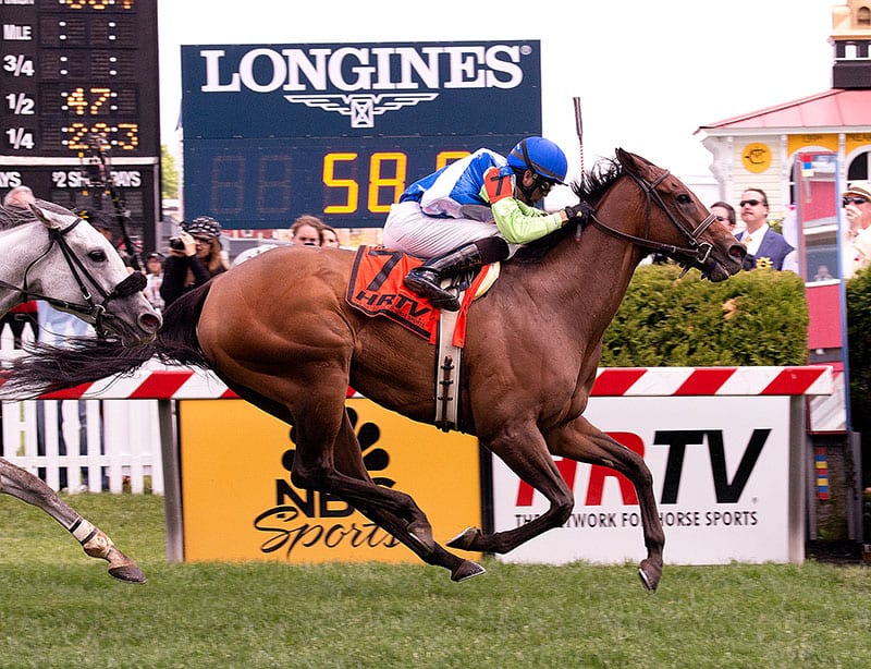 Ageless wins The Very One in May 2014 at Pimlico. Photo by Jim McCue, Maryland Jockey Club.