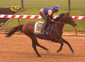 Bayern. Photo by Jim McCue, Maryland Jockey Club.