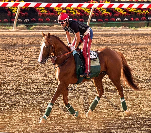 Preakness notes for May 13: Calm before storm